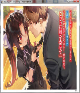 【轻小说】[epub]《龙王的工作！》12卷+小册子+特典